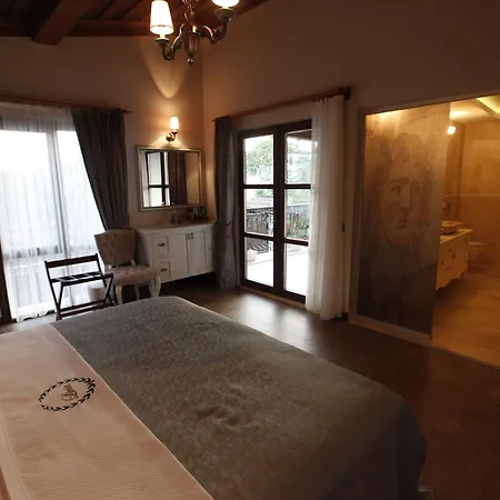 酒店 Livia Ephesus (adults Only) 塞尔丘克