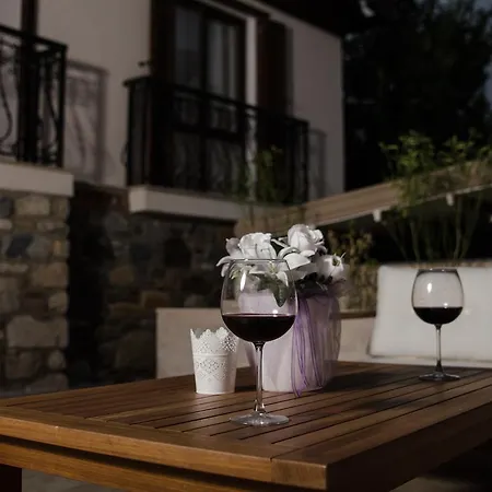 Hotel Livia Ephesus 3*